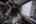 Blurred preview of media: Miss B Haven-27