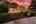 Blurred preview of media: bristowtwilight_008