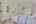 Blurred preview of media: CB108263