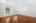 Blurred preview of media: 2-826-5455