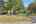 Blurred preview of media: IMG_3609