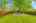 Blurred preview of media: 13