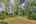 Blurred preview of media: IMG_3093_4_5_easyHDR