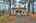 Blurred preview of media: Unknown media