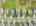 Blurred preview of media: 3-926-0935