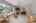 Blurred preview of media: 94 Central Street Andover Massachusetts Job 40242 0019