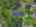 Blurred preview of media: 35-stanhope-road-sparta-nj-usa-drone-001