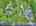Blurred preview of media: DJI_20260527103424_0992_D_3_D_4_D_easyHDR