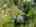 Blurred preview of media: 1-40