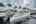 Blurred preview of media: Dorothy Gayle-38