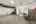 Blurred preview of media: COM_9024