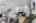 Blurred preview of media: DSC_6564
