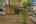 Blurred preview of media: IMG_0343.1