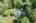 Blurred preview of media: 1 Bryant Avenue Shrewsbury Massachusetts Job 39631 0090