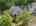 Blurred preview of media: 61-10565_SW_Cormorant_Dr