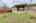 Blurred preview of media: 2718BrightonPark_HighRes-30