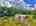 Blurred preview of media: DJI_20260818122346_0137_D_6_0138_D_7_0139_D_easyHDR