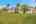 Blurred preview of media: 9388 Heckscher Dr-45