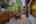 Blurred preview of media: DSC09864