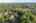 Blurred preview of media: 16 Abel Jones Place Acton Massachusetts Job 40418 0056