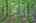 Blurred preview of media: 9zzu