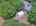 Blurred preview of media: DJI_20260616121705_0976_D_7_D_8_D_easyHDR