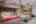 Blurred preview of media: 285 Silver Queen Drive, Breckenridge, CO 80424-Web-33