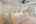 Blurred preview of media: PAX_0542