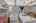 Blurred preview of media: 850_8550