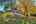 Blurred preview of media: IMG_6419_20_21_easyHDR
