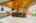 Blurred preview of media: 89 Lloyminn Ave, Ancaster _ Nathan ferro91