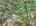 Blurred preview of media: DJI_20260702124858_0594_D_5_D_6_D_easyHDR