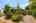 Blurred preview of media: 1-2