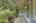 Blurred preview of media: 260204-4a
