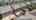 Blurred preview of media: 79
