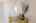 Blurred preview of media: Interiors-24