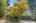 Blurred preview of media: 1-1