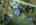 Blurred preview of media: 2