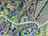Blurred preview of media: DJI_20261007111254_0124_D_5_D_6_D