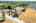 Blurred preview of media: WM-3KLimitedDrone-8