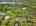 Blurred preview of media: 421-glenridge-road-highland-lakes-nj-usa-drone-007