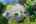 Blurred preview of media: DJI_0778 copy 2