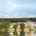 Blurred preview of media: 099