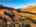 Blurred preview of media: DJI_0106_hdr (1)