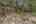 Blurred preview of media: 334 N Pine Meadows Rd - 57