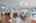 Blurred preview of media: 1-13