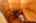 Blurred preview of media: IMG_1709