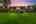 Blurred preview of media: 050.1.
