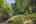 Blurred preview of media: 54-10565_SW_Cormorant_Dr