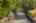 Blurred preview of media: Aerial 01